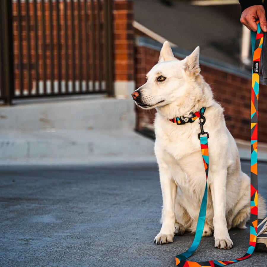 ウルフギャング WOLFGANG リード 犬用品 中型犬 大型犬 Mサイズ リーシュ LEASH マン&ビースト MAN&BEAST｜goodslabo｜17