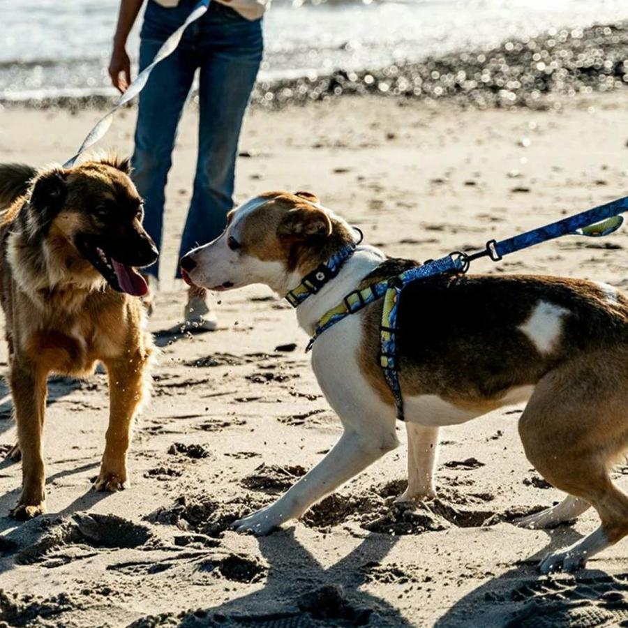 ウルフギャング WOLFGANG ハーネス 犬 大型犬 XLサイズ 引っ張り 防止 抜けない 介護 ドッグ ペット 丈夫 HARNESS WH-004の画像