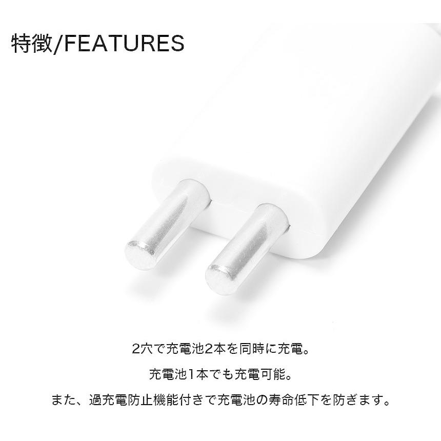 2穴充電 電気ウキ USB充電器 CR425 リチウム電池 セット ピン形充電