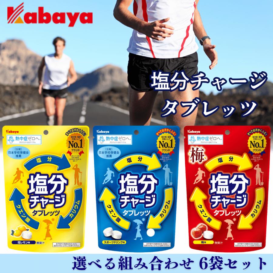 塩分チャージタブレッツ タブレット 夏の塩分 水分補給に カバヤ