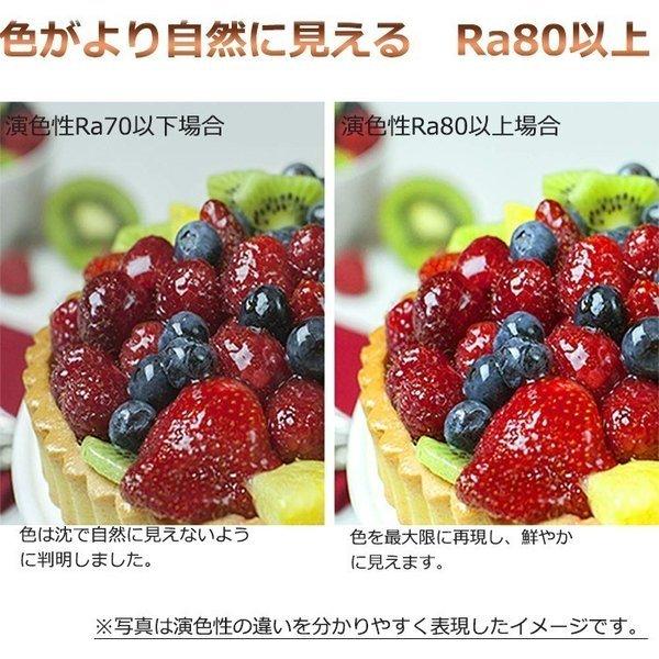 LED 蛍光灯 FHP45EN・K FHP45ENK 昼白色 ledランプ FHP45型LED FHP45形