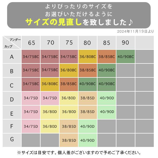 【クーポン利用で半額1,740円】ブラジャー ノンワイヤー 30代 40代 50代 下着 インナー 女性 快適 楽ちん フロントホック 送料無料 爆買 |  | 18