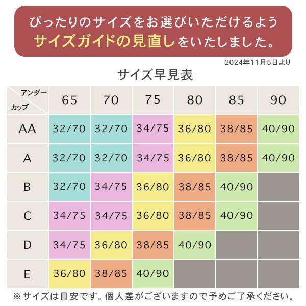【クーポン利用で半額1,740円】ブラジャー ショーツ セット ノンワイヤー ブラ&ショーツセット ブラ 小胸 谷間 脇高 盛 爆買 |  | 20