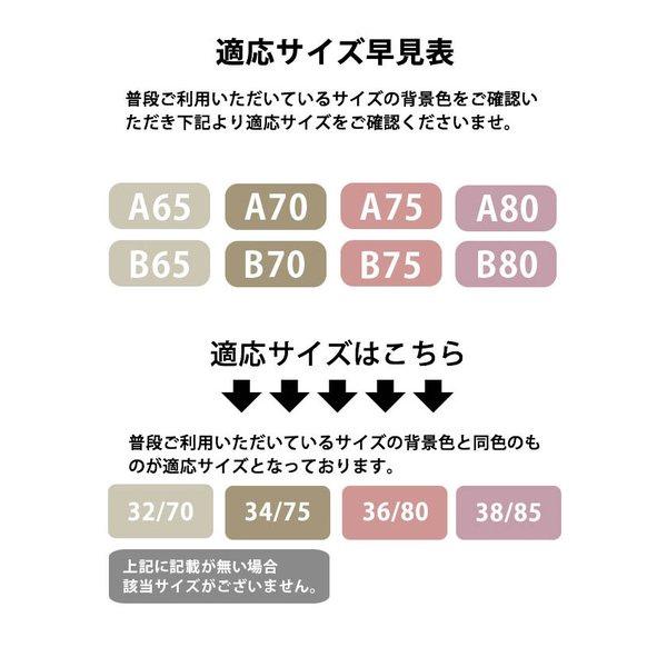 ノンワイヤーブラ セット ブラ ショーツ 谷間 盛れる 快適 ブラジャー インナー レース 送料無料 |  | 17