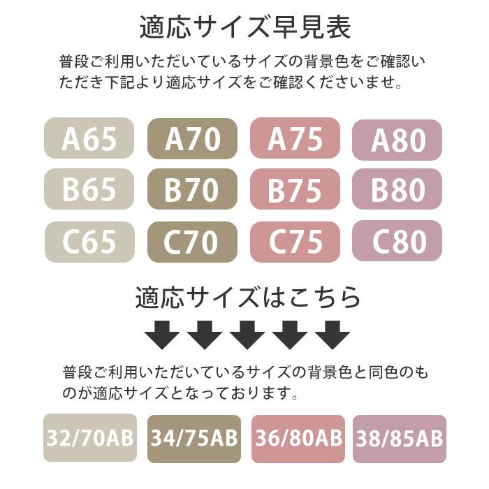 ノンワイヤーブラ セット 上下セット レディース ブラ ショーツ 谷間 盛れる 快適 ブラジャー インナー  送料無料 |  | 18