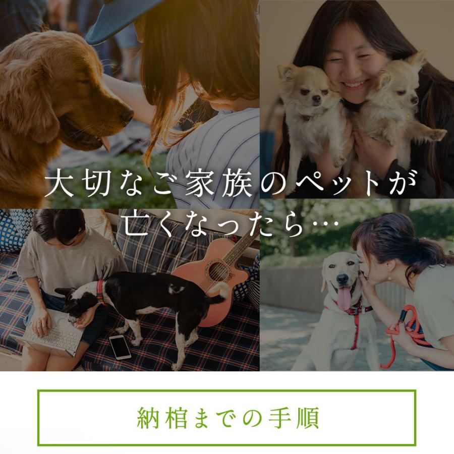 ペット棺 やすらぎ 白い羽根 ピンク (中) 【13時まで即日出荷】 組立