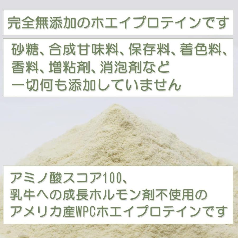 ボディウイング 無添加ホエイプロテイン ナチュラル 3kg 1kgの袋が3個 