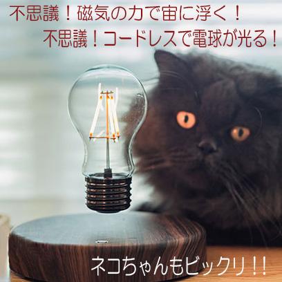 Francfranc リビング照明　寝室照明　電球付き Francfranc リビング照明 寝室照明 電球付き