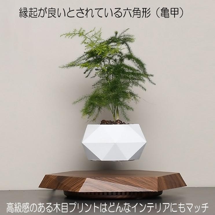 浮遊 フラワー 植物 ポット 六角形台座 フローティング 植木鉢 鉢植え