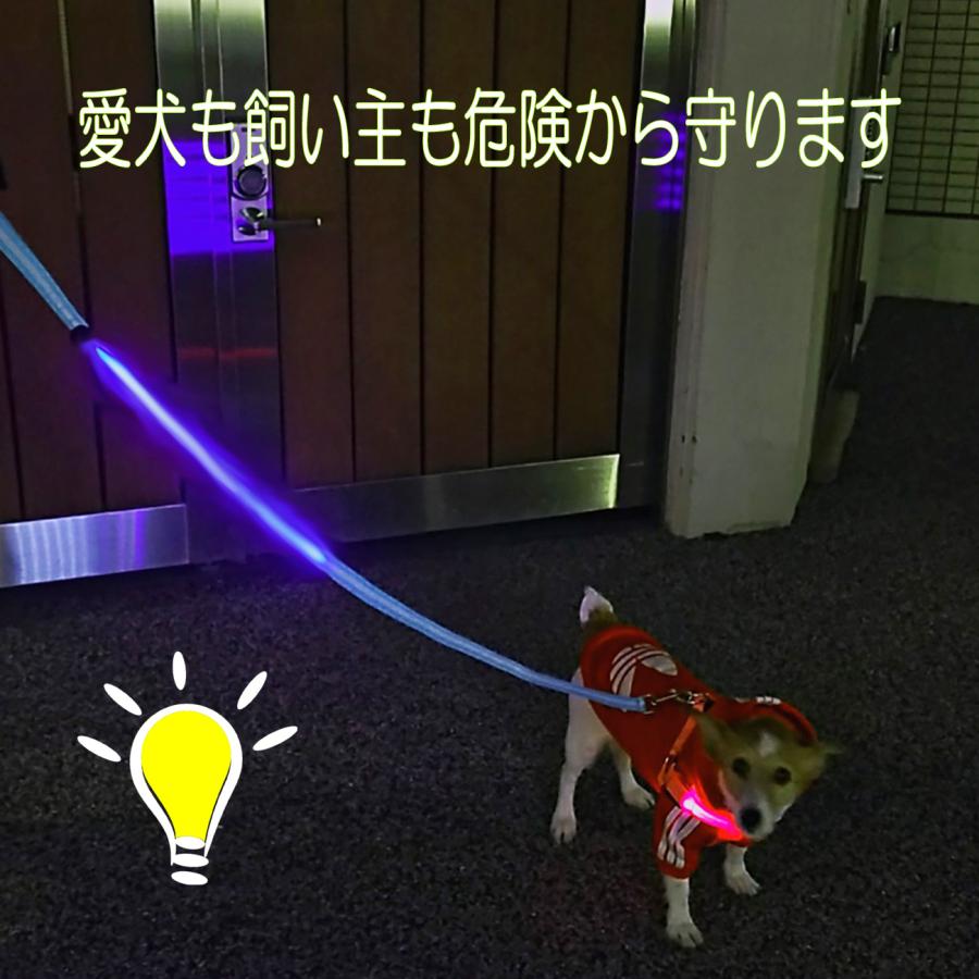 リード 犬 LED 光る ペット 充電式 太さ2.5cm 夜の 散歩 グッズ イヌ