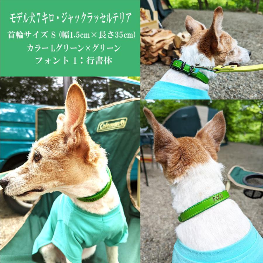 犬 猫 首輪 名入れ 無料 裏表コンビ 中型犬 レーザー彫刻 本革 レザー