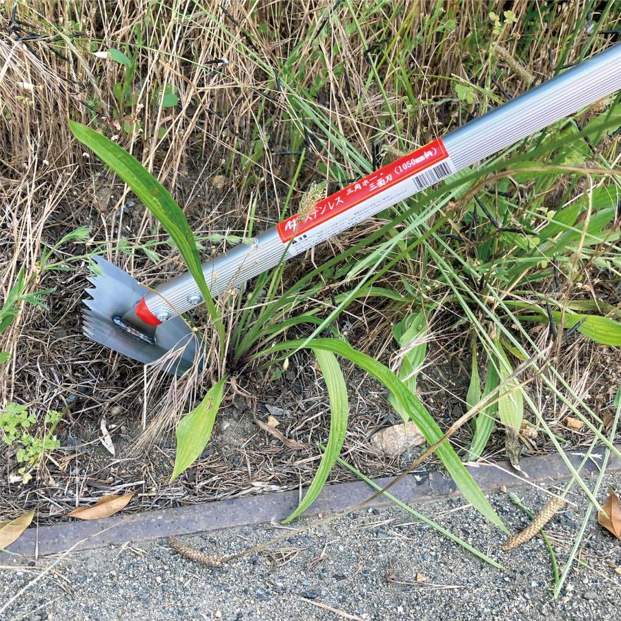 キンボシ(Kinboshi)ゴールデンスター 草削鍬 ステンレス三角ホー 1050