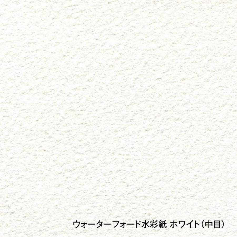 ホルベイン ウォーターフォード水彩紙 EHB-F6 ホワイト 中目 300g F6サイズ ブロックタイプ 12枚綴じ 270934｜goodzero｜02