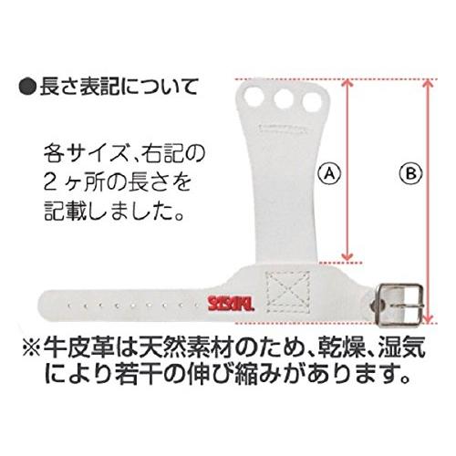 ササキ(SASAKI) レディース 体操 プロテクター Sサイズ P-103 : GOOD