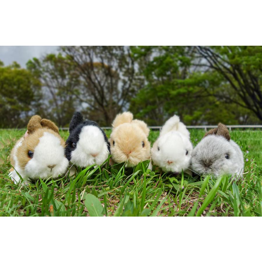 (未使用･未開封品)　りくのなかまたち ぬいぐるみ ウサギ ホワイト 180497 60wa65s Amazon.co.jp: 吉徳 りくのなかまたち ぬいぐるみ ウサギ