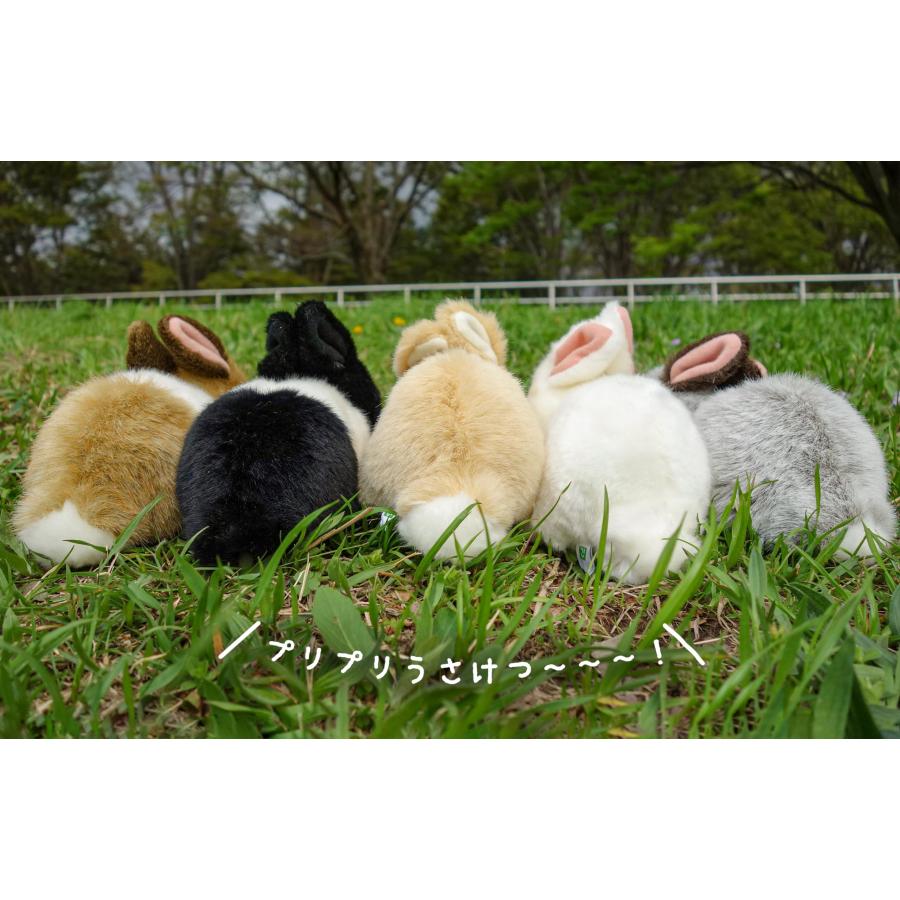 (未使用･未開封品)　りくのなかまたち ぬいぐるみ ウサギ ホワイト 180497 60wa65s 95327163-1.jpg?v=1703577219