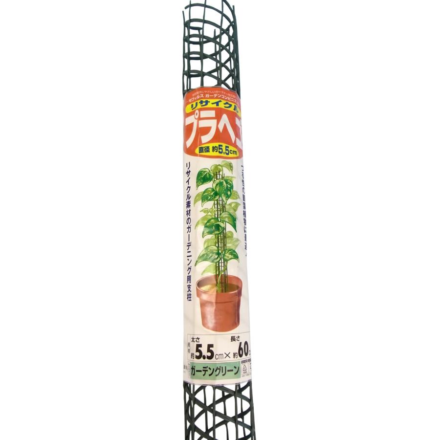 クラーク プラヘゴ φ5.5×60cm 観葉植物用 支柱 : GOOD ZERO - 通販