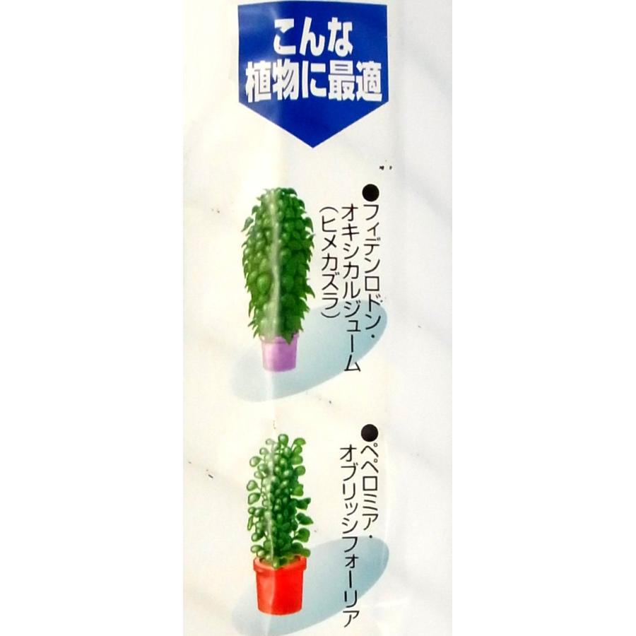 クラーク プラヘゴ φ5.5×60cm 観葉植物用 支柱 : GOOD ZERO - 通販