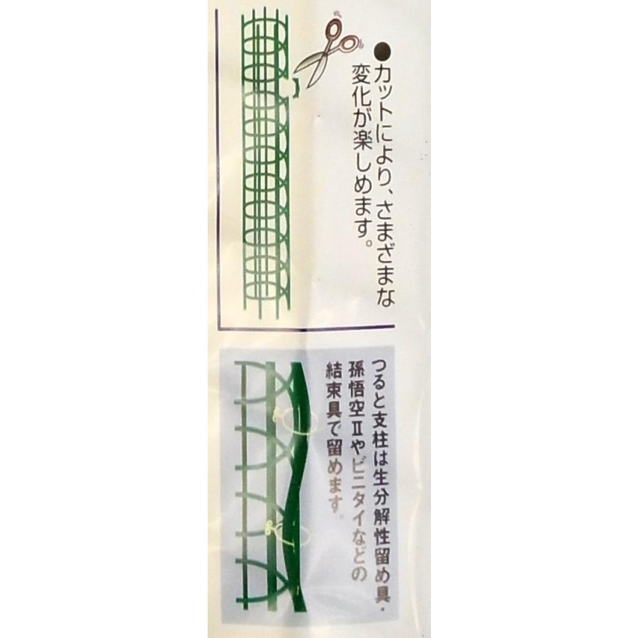 クラーク プラヘゴ φ5.5×60cm 観葉植物用 支柱 : GOOD ZERO - 通販