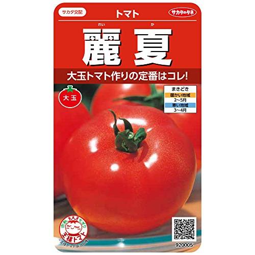 サカタのタネ 実咲野菜0005 麗夏 トマト 00920005 : GOOD ZERO - 通販