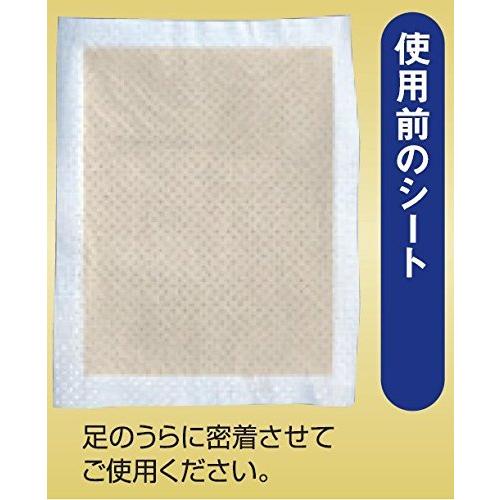 レミントン ビサ入り足うらシート 30枚（約15回分） : GOOD ZERO