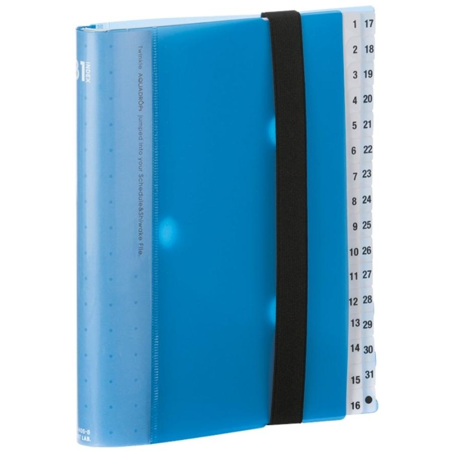 リヒトラブ ファイル スケジュール&仕分け用 31仕切り A5S 青 A4405-8