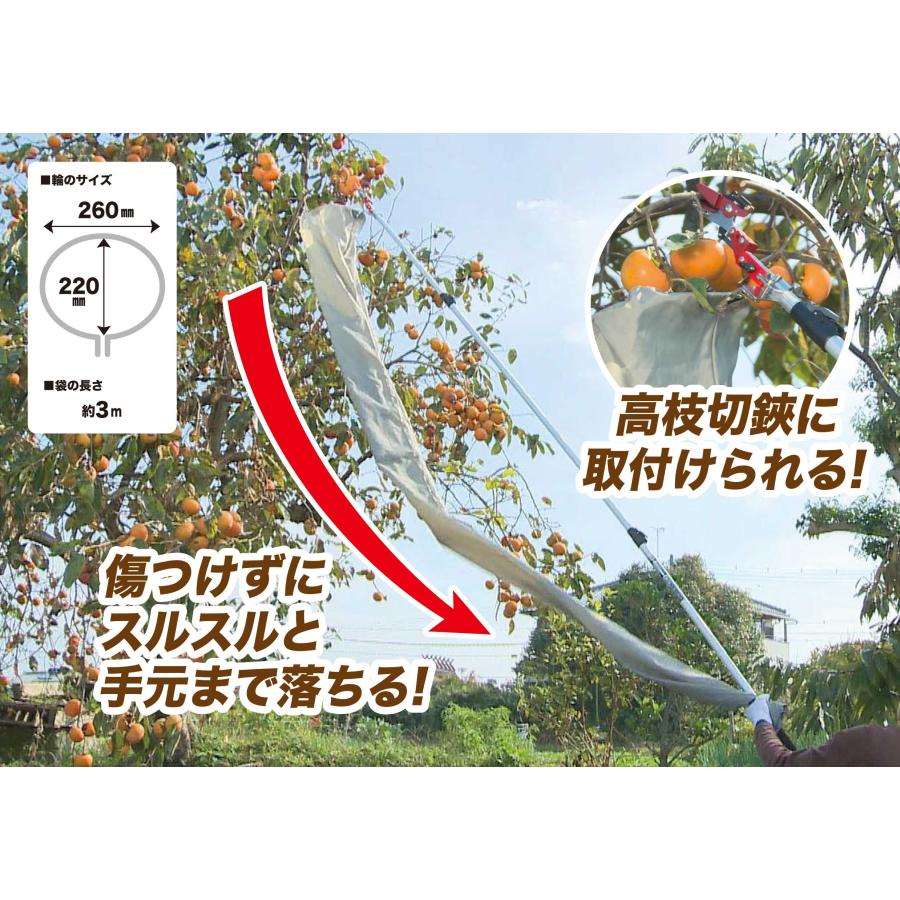 千吉 高枝切鋏取り付け専用 収穫袋 収穫物が袋を通って手元まで落ちてくる 3.0m高さ対応 |  | 01