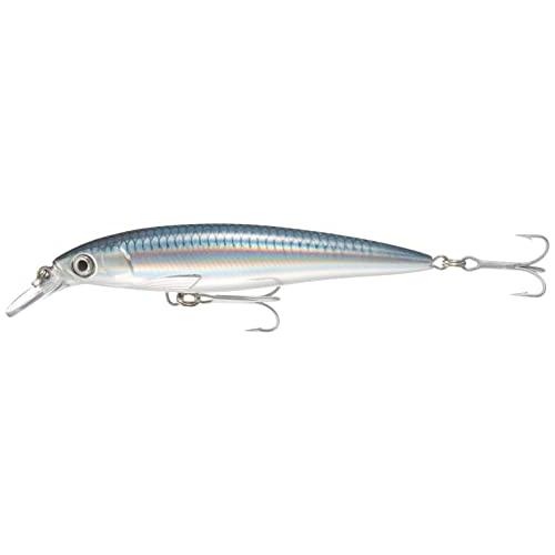 Rapala(ラパラ) ミノー ソルトウォーター Xラップ 12cm 22g ベイトフィッシュ BFH SXR12BFH ルアー s