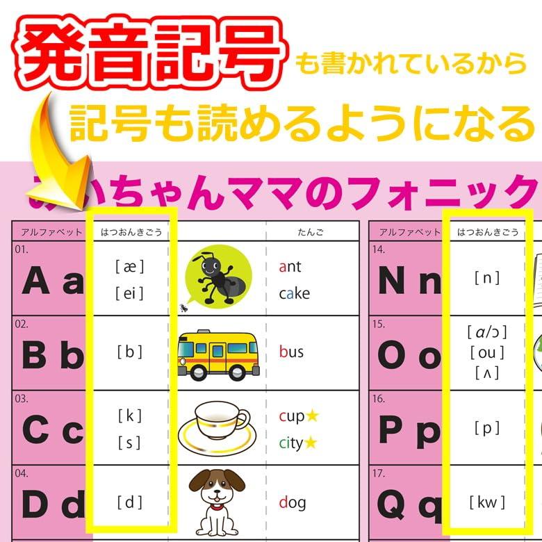 本 フォニックス「ゼロから学べる英語発音DVD」5巻セット みいちゃん
