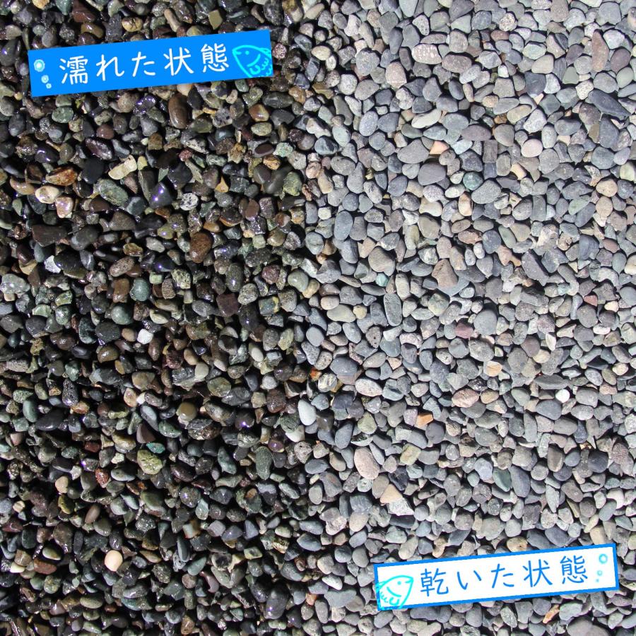 STクラフト 水槽用 底砂 大磯砂利 【2分】 洗って入れるだけでぴったり