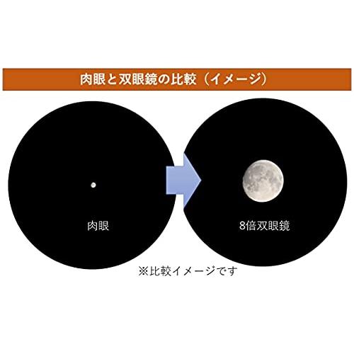 ビクセン (Vixen) 双眼鏡 小型 軽量 8×21 ホワイト 8倍 皆既 月食 星空