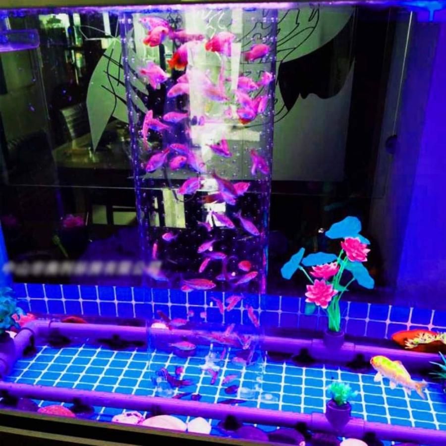 魚 アクリル 吸引タンク アイソレーション 3個セット 混合底セパレーター Amazon | 魚 アクリル 吸引タンク アイソレーション 3個セット