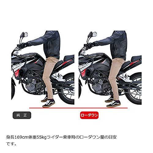 EFFEX(エフェックス) ローダウンキット 約17mmダウン TRK 251PHAB003Dの画像