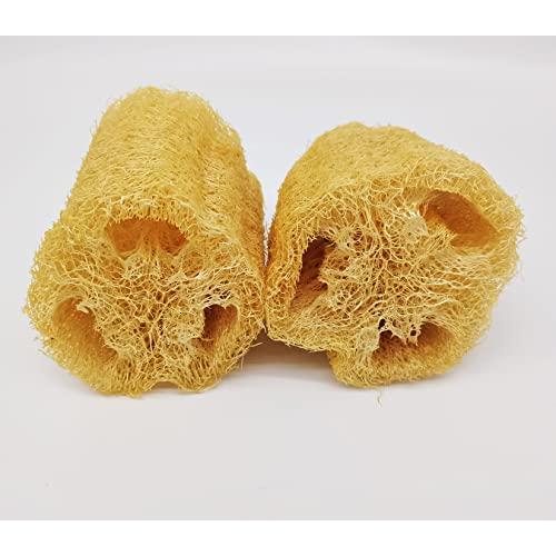 100%天然ヘチマ へちまたわし ヘチマたわし 自然色無漂白 安全無毒