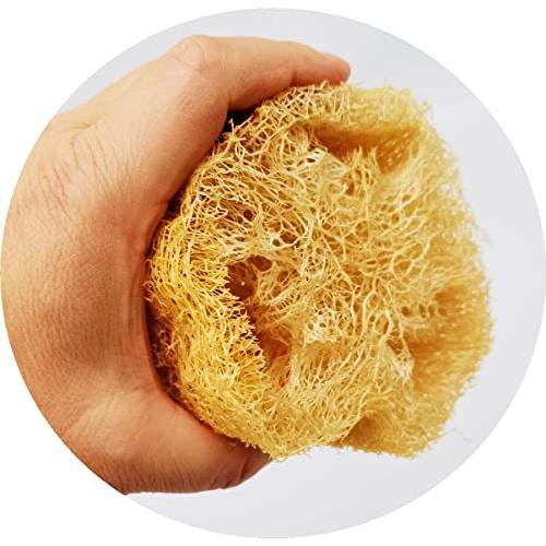 ヘチマたわし 美品大サイズお得用 販促用POP&シール付き ヘチマたわし 美品大サイズお得用 販促用POP&シール付き