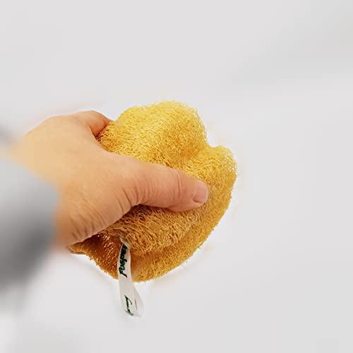 ヘチマたわし 美品大サイズお得用 販促用POP&シール付き ヘチマたわし 美品大サイズお得用 販促用POP&シール付き