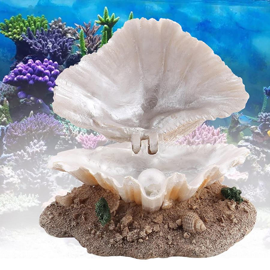 極上貝透彫置物　50g/横幅約7㎝　東Y8-0109☆2Fタサオ Jeffergarden 水槽 オーナメント 貝 隠れ家 オブジェ サンゴ礁 観賞魚