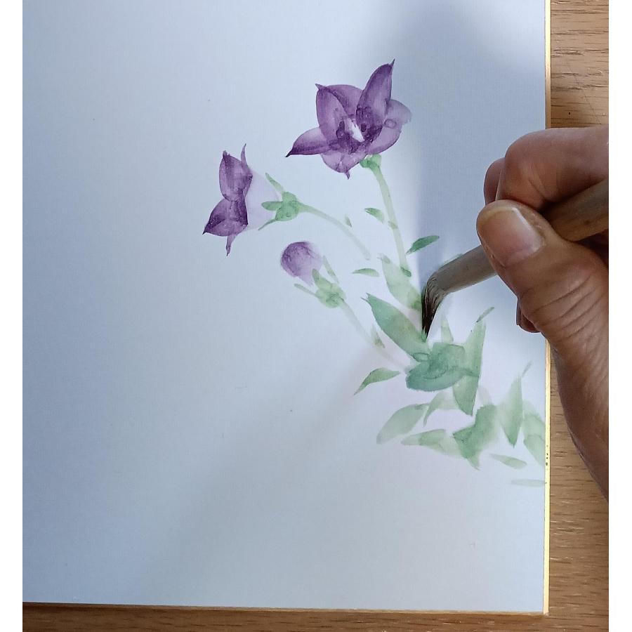 三木芳泉 色紙絵(27.3x24.2cm)『秋草』行雲流水（こううんりゅうすい）空を行く雲と、川を流れる水のように、物に執着することなく、事に従って行の画像