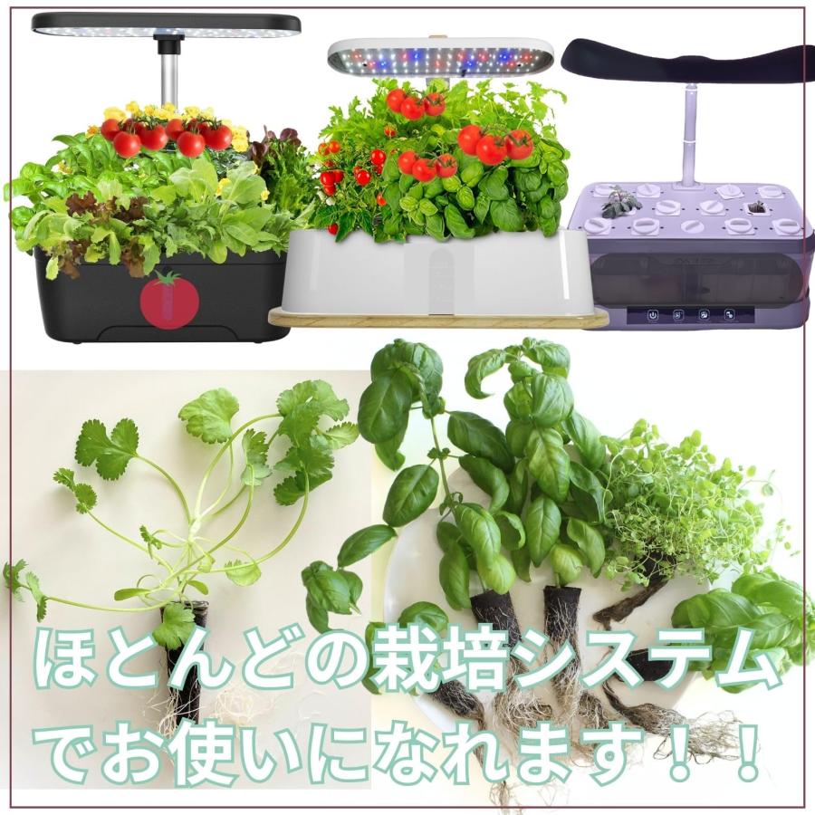 nervousrhinos 水耕栽培 スポンジ 10,20,30,50パック 水耕栽培キット