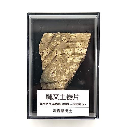 つくしサイエンス 縄文土器 破片 本物 青森産 歴史資料 縄文文化