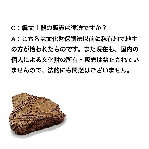 つくしサイエンス 縄文土器 破片 本物 青森産 歴史資料 縄文文化 遺跡