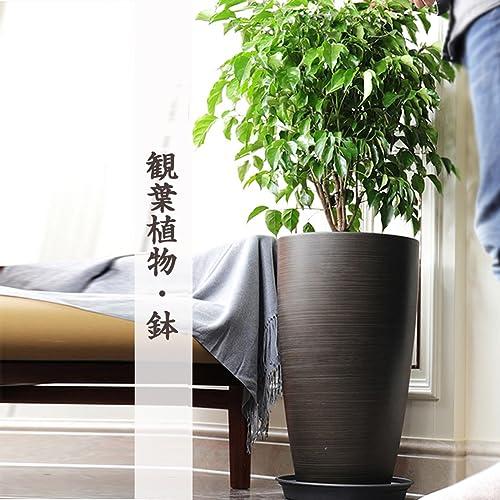 Glynislife 植木鉢 大型 おしゃれ プラスチック 軽量 受け皿付き