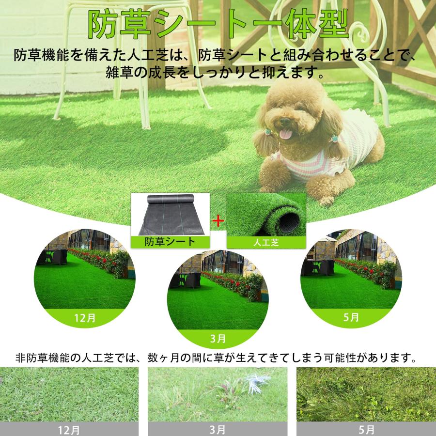 RsBarter 人工芝 1m×2m ロールタイプ 芝丈20mm 防草シート一体型 リアル感 屋外 室内 人工芝生マット 高密度 高耐久 防カビ 防炎 |  | 04