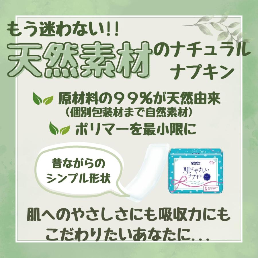 肌にやさしいナプキン 28枚入り✕60セット Amazon | セペ 肌にやさしいナプキン 28包 | セペ | 生理用紙