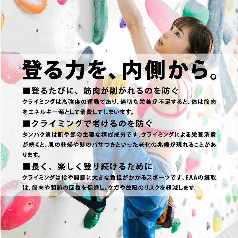 【登る前のエネルギー補給に】Hematite｜BCAA6790 1箱（8.5g×36袋） サプリメント |  | 10