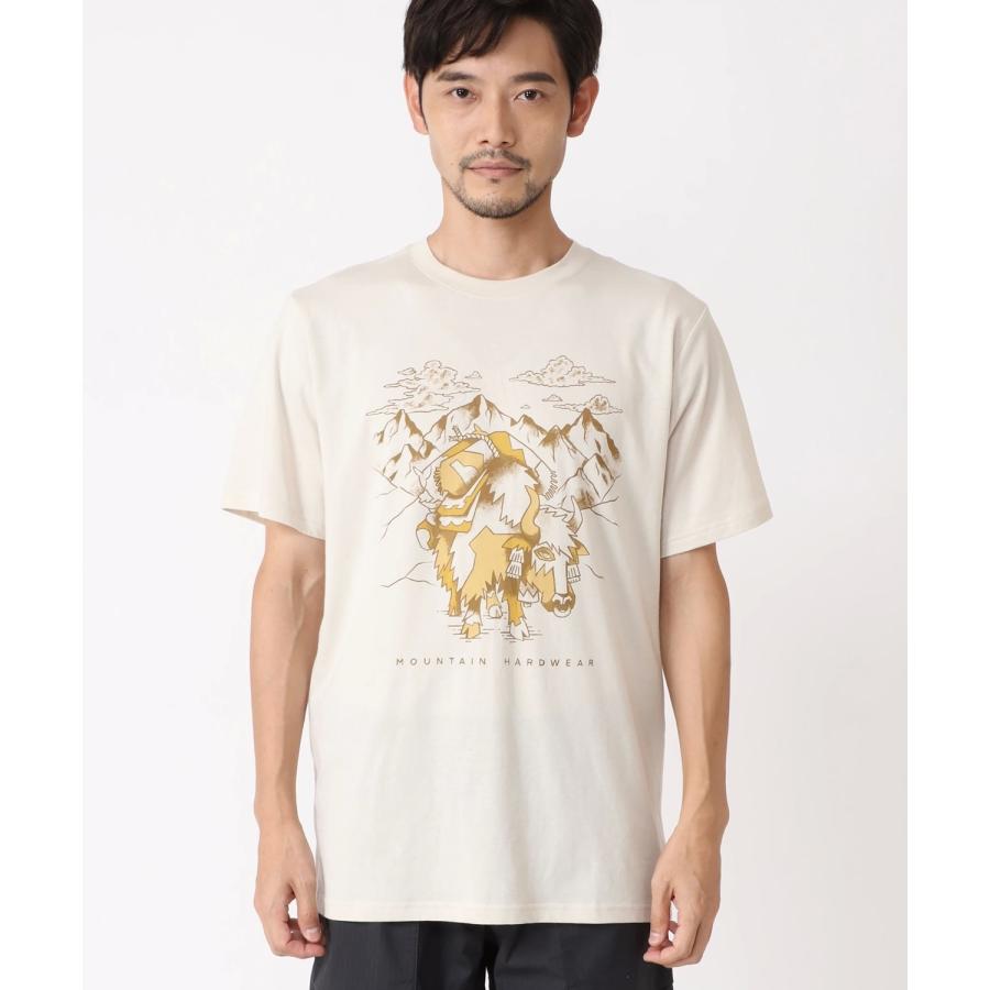 セール】マウンテンハードウェア Tシャツ マウンテンヤクショート