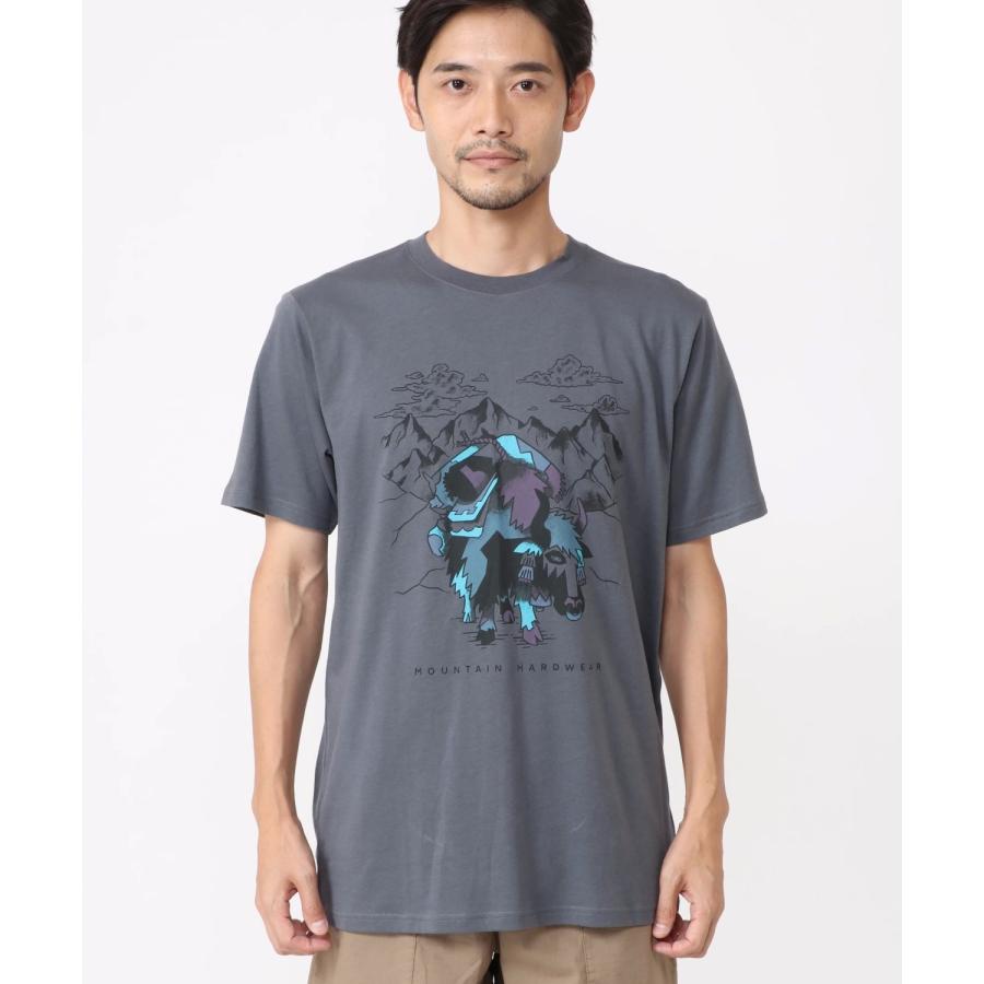 セール】マウンテンハードウェア Tシャツ マウンテンヤクショート