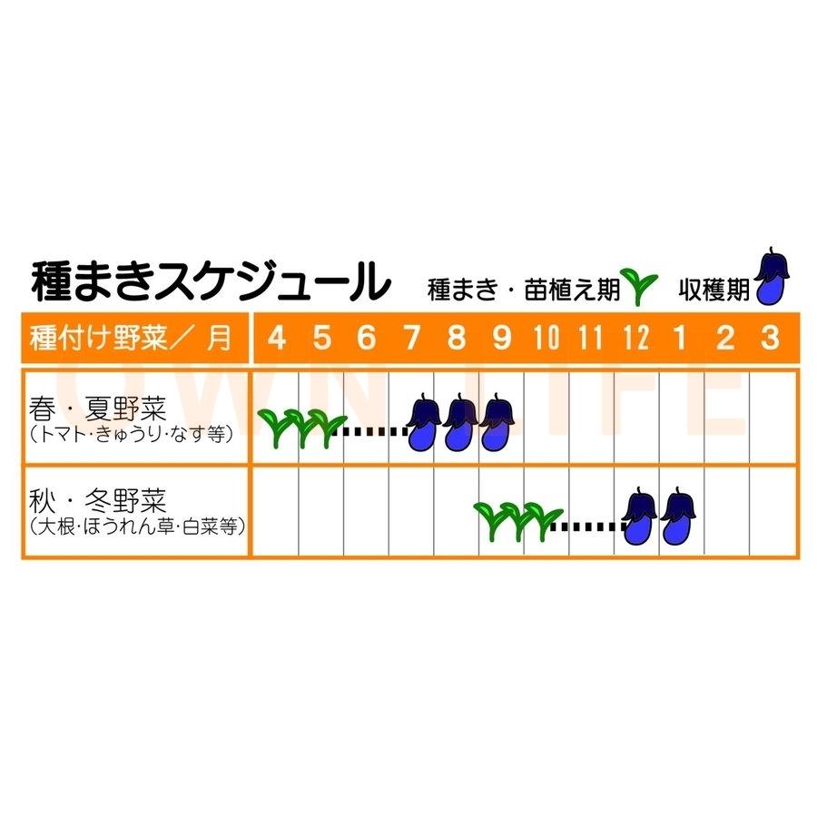 耕運機 耕うん機 家庭用 充電式 20V コードレス 小型 ミニ耕運機 電動 草刈り機 刈払機 除草 女性 軽量 家庭菜園 ガーデン 花壇 耕うん 畑 耕す 簡単 野菜作り｜goood-shop｜13