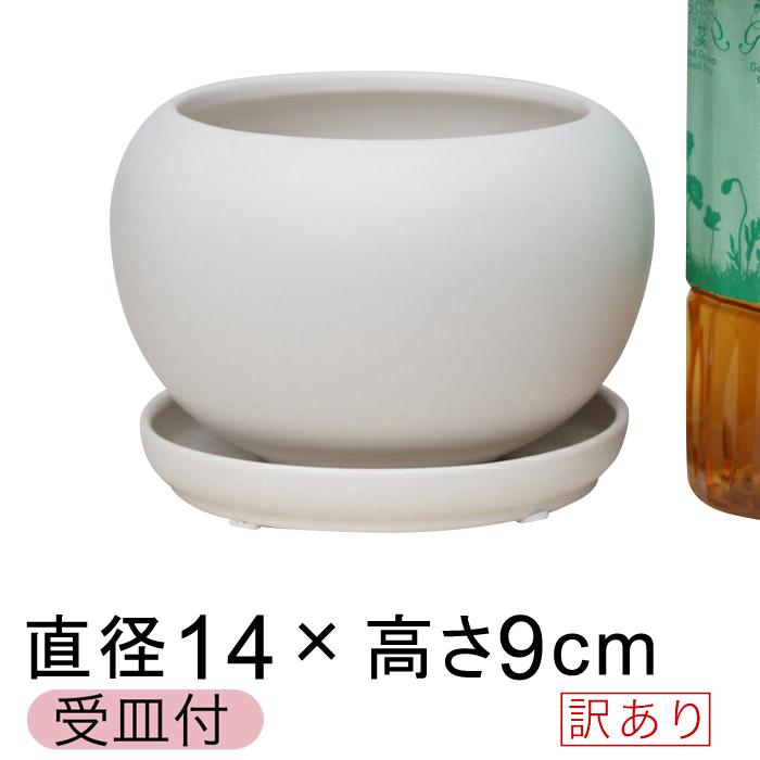 植木鉢 陶器 受け皿付 鉢皿付 鉢カバー ホワイト マット ギガランキングｊｐ