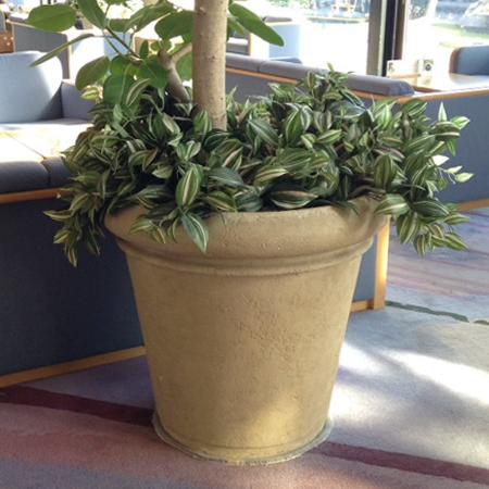 22年最新海外 植木鉢 大型 おしゃれ ファイバーグラス鉢 返品不可 代引不可 同梱不可 日祝指定不可 メーカー直送 110型 セラポット 大型 おしゃれ 植木鉢 プランター 軽い 軽量 園芸用品 Www Solidarite Numerique Fr